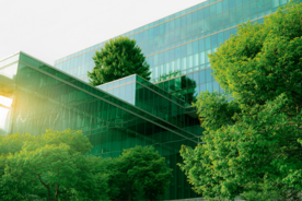 BTA Sustainability 2